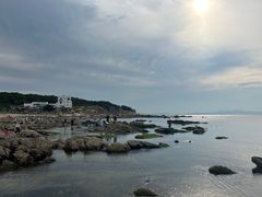 -养马岛旅游度假区