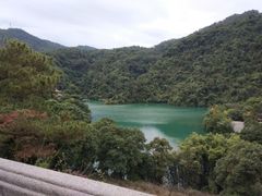 -鼎湖山风景区