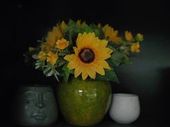 -谷咖啡·鲜花绿植花园餐厅