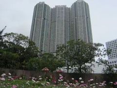 -九龙公园