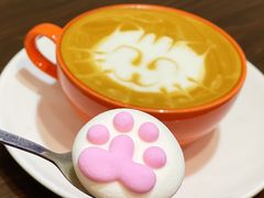 -猫色咖啡·猫咖