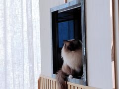 -Catmate·猫肥家润(金润铂宫店)