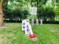 -陈家山荷花公园