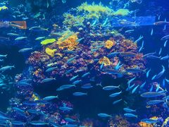 -海合安青岛极地海洋公园