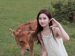 -大姆山草场
