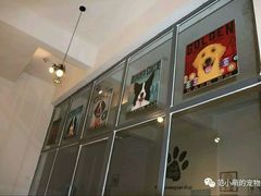 Logo墙及玻璃门-范小萌宠物店(阳光新城竹苑店)