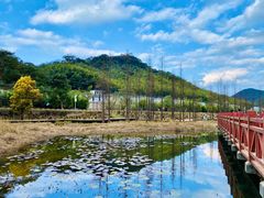 -广州市石门国家森林公园
