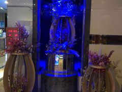 -好乐迪(张扬路八佰伴店)