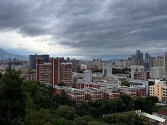 -福道