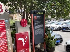 -The V泽惟·低温慢煮料理