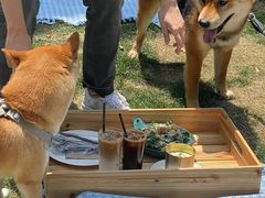 -JUJU韩式烤肉·干杯小酒馆