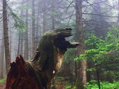 -管涔山