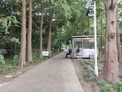 -上海滨江森林公园