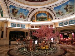 -重庆长寿碧桂园凤悦凤凰酒店