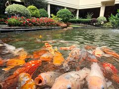 -广州花园酒店