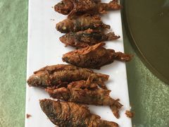 禾花鱼-小北江河鲜(新城店)