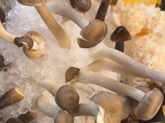 -椒王火锅(厚街万达店)