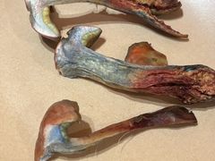 -滇野云南野生菌餐厅(陕西南路店)