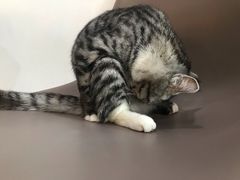 -有何Book(六堰体育馆店)