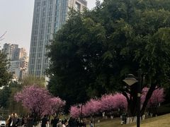 -沐仙湖湿地公园
