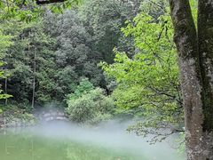 -灵栖洞天