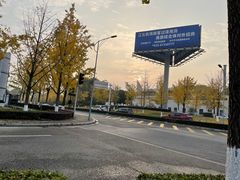-老街无刺鲫鱼