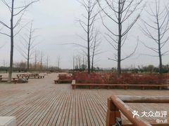 -汉长安城未央宫国家考古遗址公园