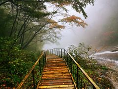 -青峰峡国家森林公园