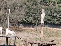 -宁波野生动物园