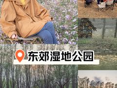 -东郊湿地公园