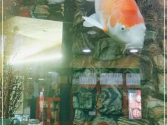 -齐海鱼圣深海石斑鱼火锅店(极地海洋世界店)