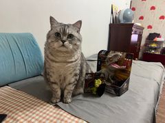 -美迦爱-牙专科·兔科·骨科诊疗中心(北苑店)