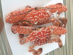 iphone_upload_pic-Sasa的海(蜈支洲岛后海店)