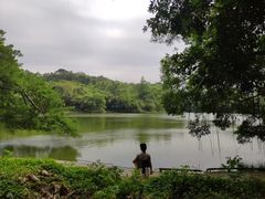 -南国桃园旅游度假区