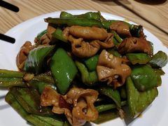 尖椒肥肠-方城小吃店