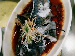 清蒸石斑鱼-古韵轩·江浙融合菜(梁溪店)