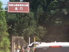 -武陵山森林公园