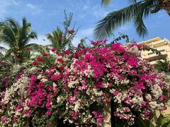 -三亚亚龙湾天域度假酒店