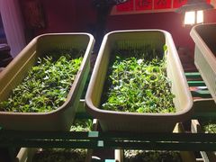 -大匠工房古船木艺术餐厅·猪肚鸡专门店(长白仙岛店)