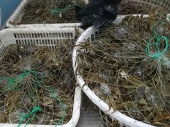 -北京清河镇农副产品交易市场中心