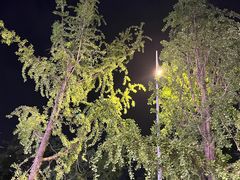 -板凳鲜酿·精酿啤酒(建设路站)