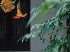 -老门东历史文化街区