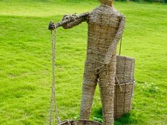 -建华生态湿地百荷园