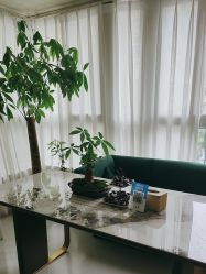 -苗方清颜专业祛痘连锁机构