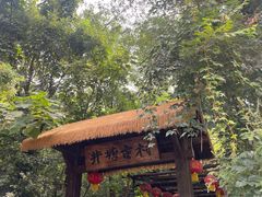 -井塘古村