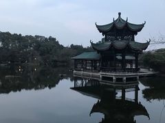 -桂湖森林公园