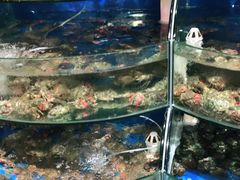 -蓝珊甄选海鲜自助·火锅大排档(近阿那亚店)