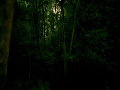 -火炉山森林公园
