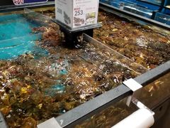 -盒马鲜生(曜一城店)