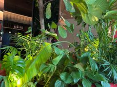 -拉蒂娜·巴西牛排馆 Latina·Brazilian Steakhouse(铜仁旗舰店)